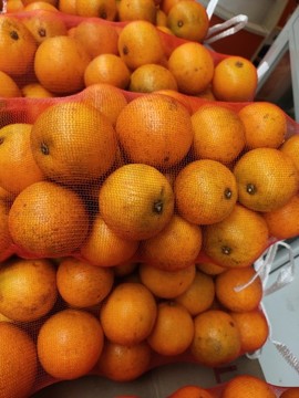 橙子