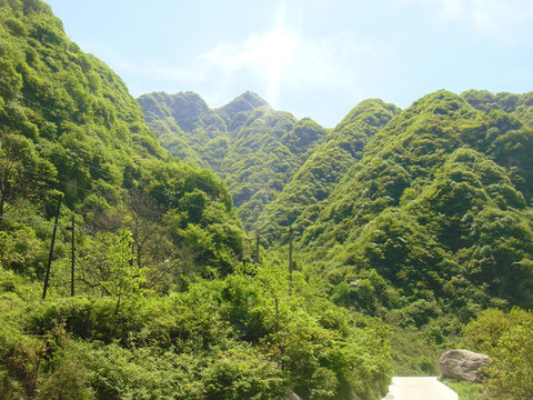秦嶺逆光攝影