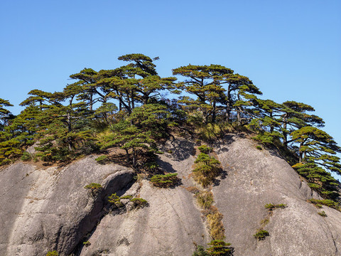 安徽黃山風(fēng)景區(qū)