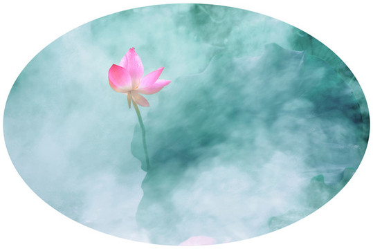 創(chuàng)意荷花