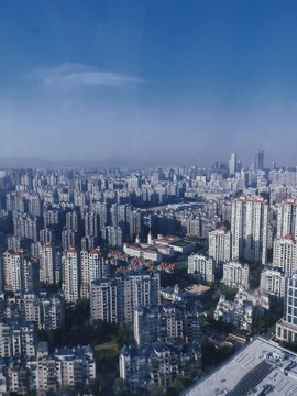 鋼鐵森林