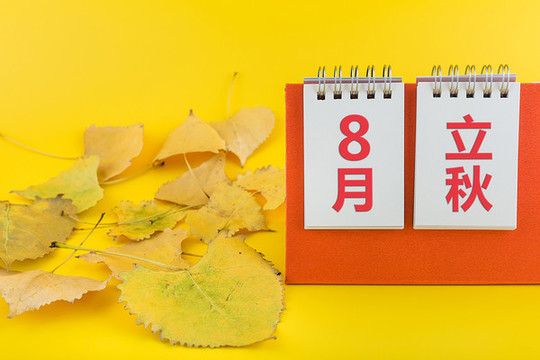 日歷和樹葉二十四節(jié)氣立秋節(jié)氣