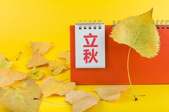 日歷和樹葉二十四節(jié)氣立秋節(jié)氣
