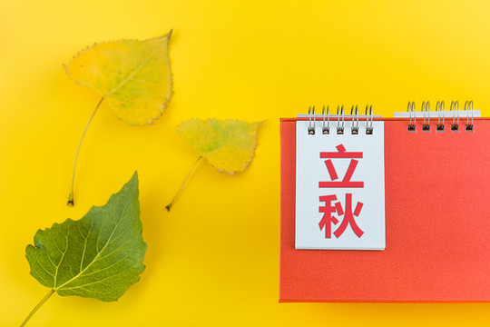 日歷和樹(shù)葉二十四節(jié)氣立秋節(jié)氣