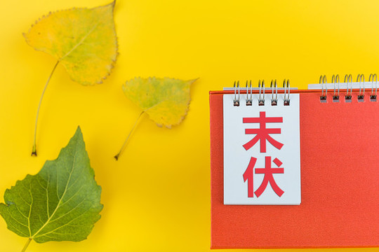 日歷和樹葉末伏主題配圖