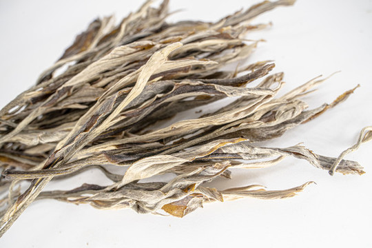 古樹茶