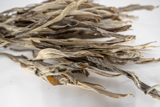 古樹茶
