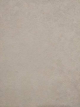 白色硅藻泥