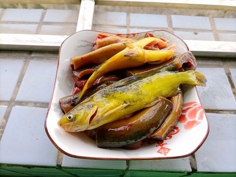 鯰魚塘角魚
