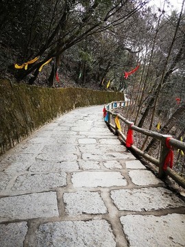 景區(qū)石板路
