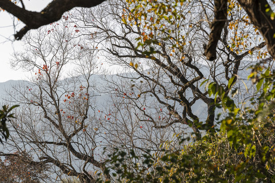 山野秋風(fēng)