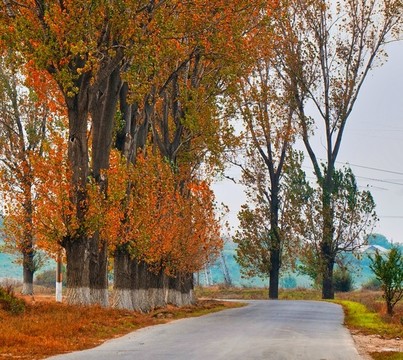 山間公路