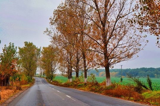 林間公路