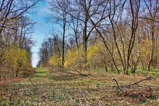 山間道路