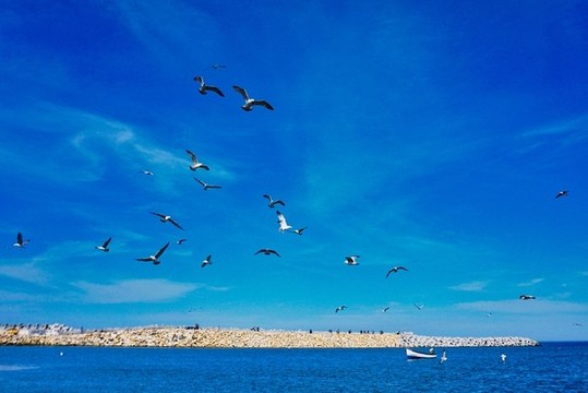 海岸風(fēng)光