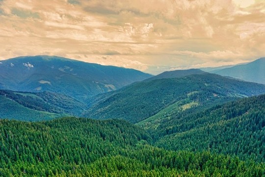 崇山峻嶺