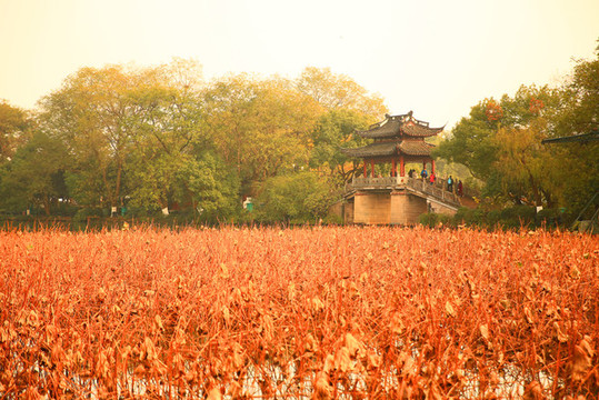江南園林景觀