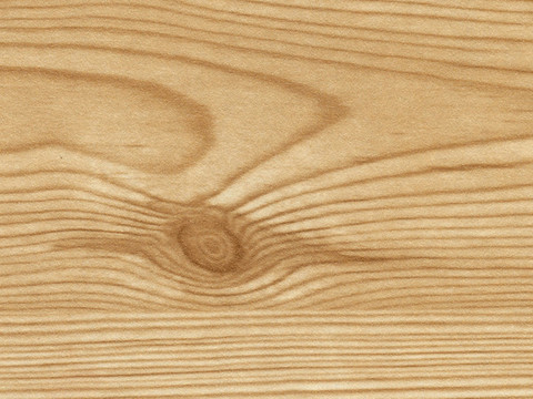 白松