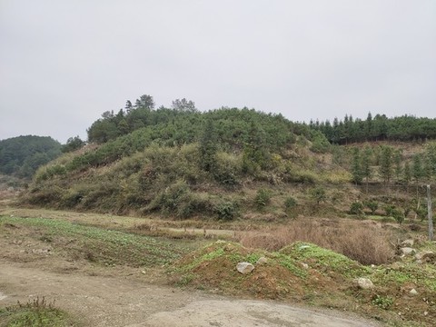 鄉(xiāng)村田園風(fēng)光