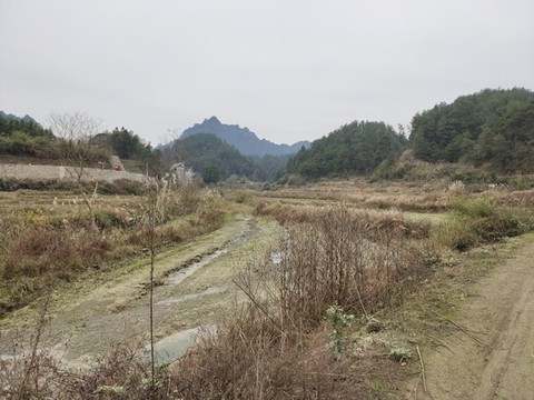 鄉(xiāng)村田園風(fēng)光