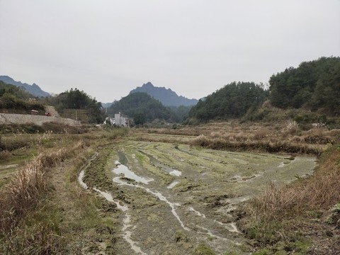 農(nóng)田