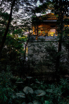 龍華公園