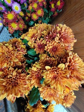 菊花