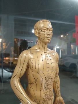 中醫(yī)人體經(jīng)絡(luò)模型