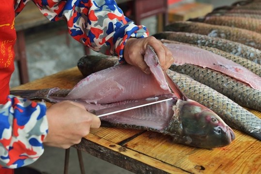 廚師殺魚(yú)