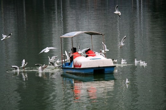 游船