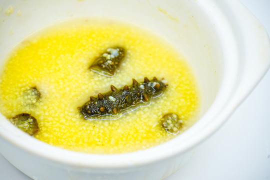 海參