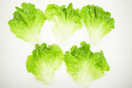 生菜