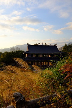 夕陽下蘆葦中廢棄宮殿