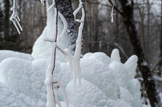 冬季東北雪景霧凇樹掛