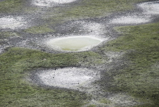 魚塘水潭