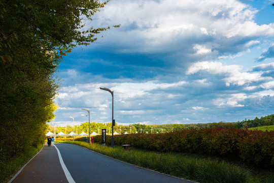 高爾夫球場(chǎng)道路