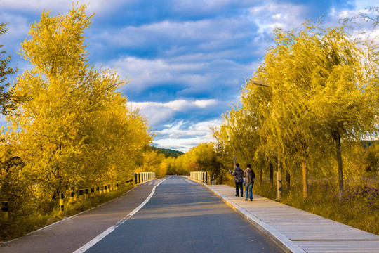 凈月潭溪流橋公路夕陽秋景