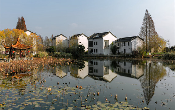 南京古楊柳村