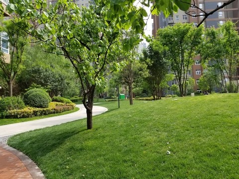 陜西西安小區(qū)建筑和園林景觀