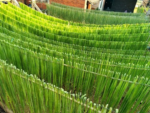 筍干貢菜