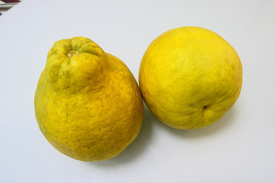 黃金柚一對(duì)