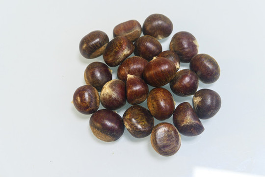 珍珠栗子