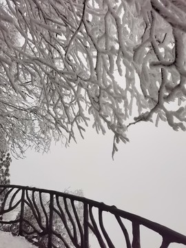 霧凇