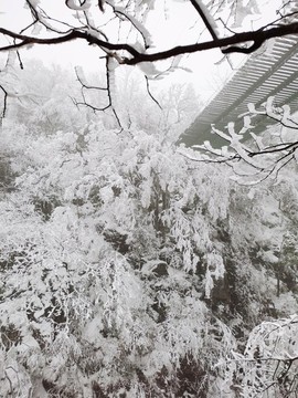 天門(mén)山雪景