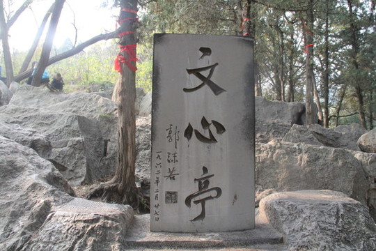 日照莒縣浮來山定林寺銀杏樹