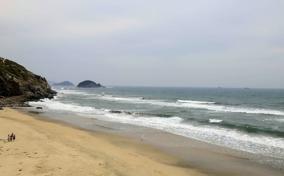 黑排角海岸沙灘