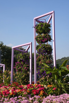 花卉景觀展示