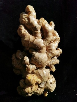 生姜