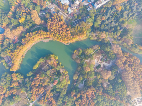 湖北武漢解放公園深秋初冬風(fēng)光