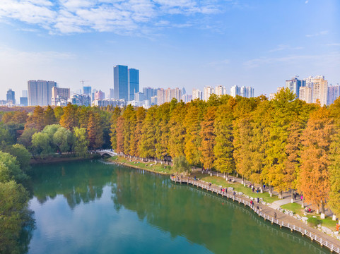 湖北武漢解放公園深秋初冬風(fēng)光